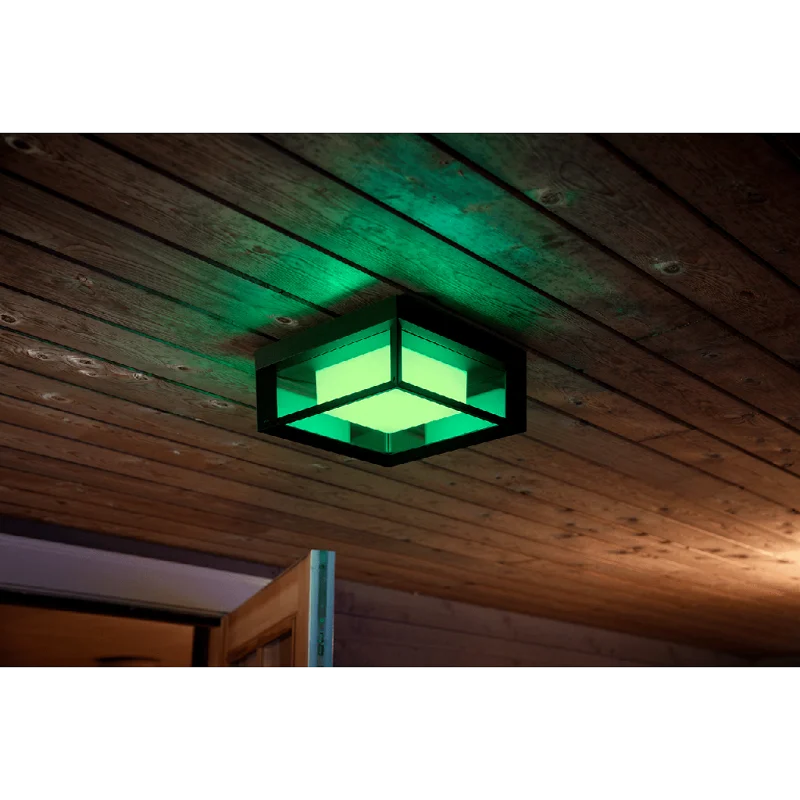 Смарт външен LED RGBW димируем аплик Philips Hue Econic Outdoor WACA, черен, 1150 lm, 15W, IP44 (BT, Zigbee, HomeKit, Google, Alexa, SmartThings) - Снимка 8