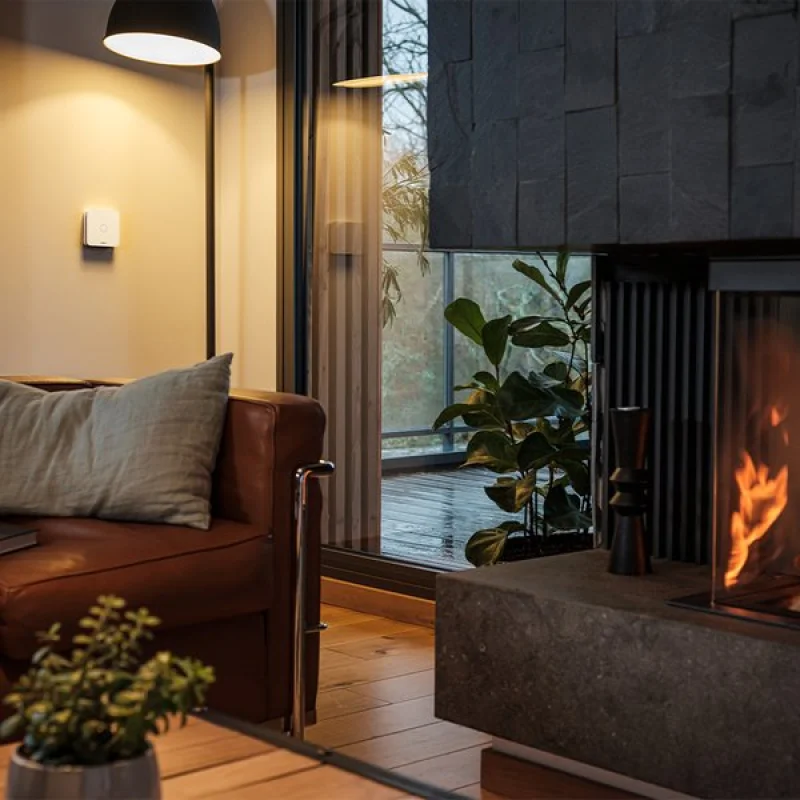 Смарт аларма за въглероден оксид Netatmo (HomeKit) - Снимка 6