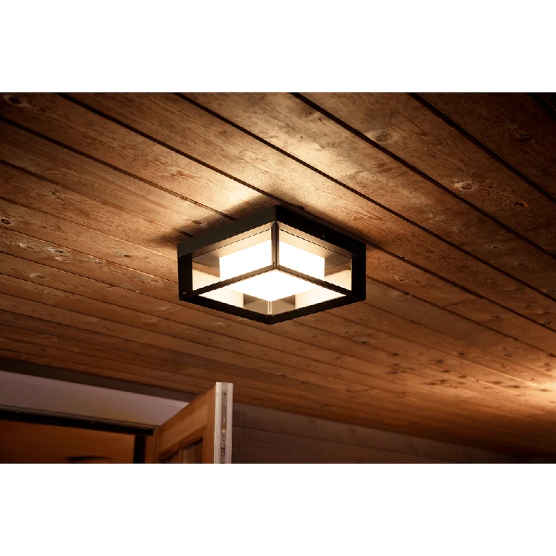Смарт външен LED RGBW димируем аплик Philips Hue Econic Outdoor WACA, черен, 1150 lm, 15W, IP44 (BT, Zigbee, HomeKit, Google, Alexa, SmartThings) - Снимка 6