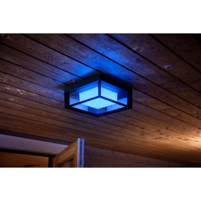 Смарт външен LED RGBW димируем аплик Philips Hue Econic Outdoor WACA, черен, 1150 lm, 15W, IP44 (BT, Zigbee, HomeKit, Google, Alexa, SmartThings) - Снимка 7